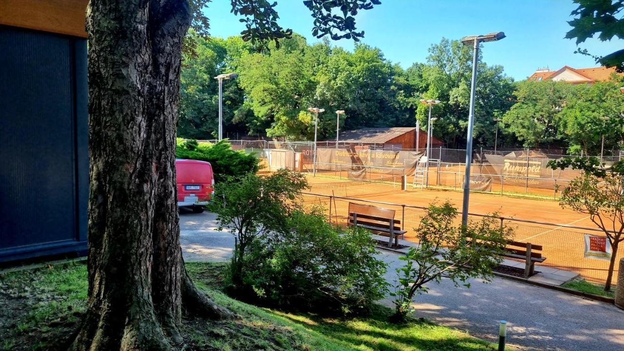 Cibulka Camping